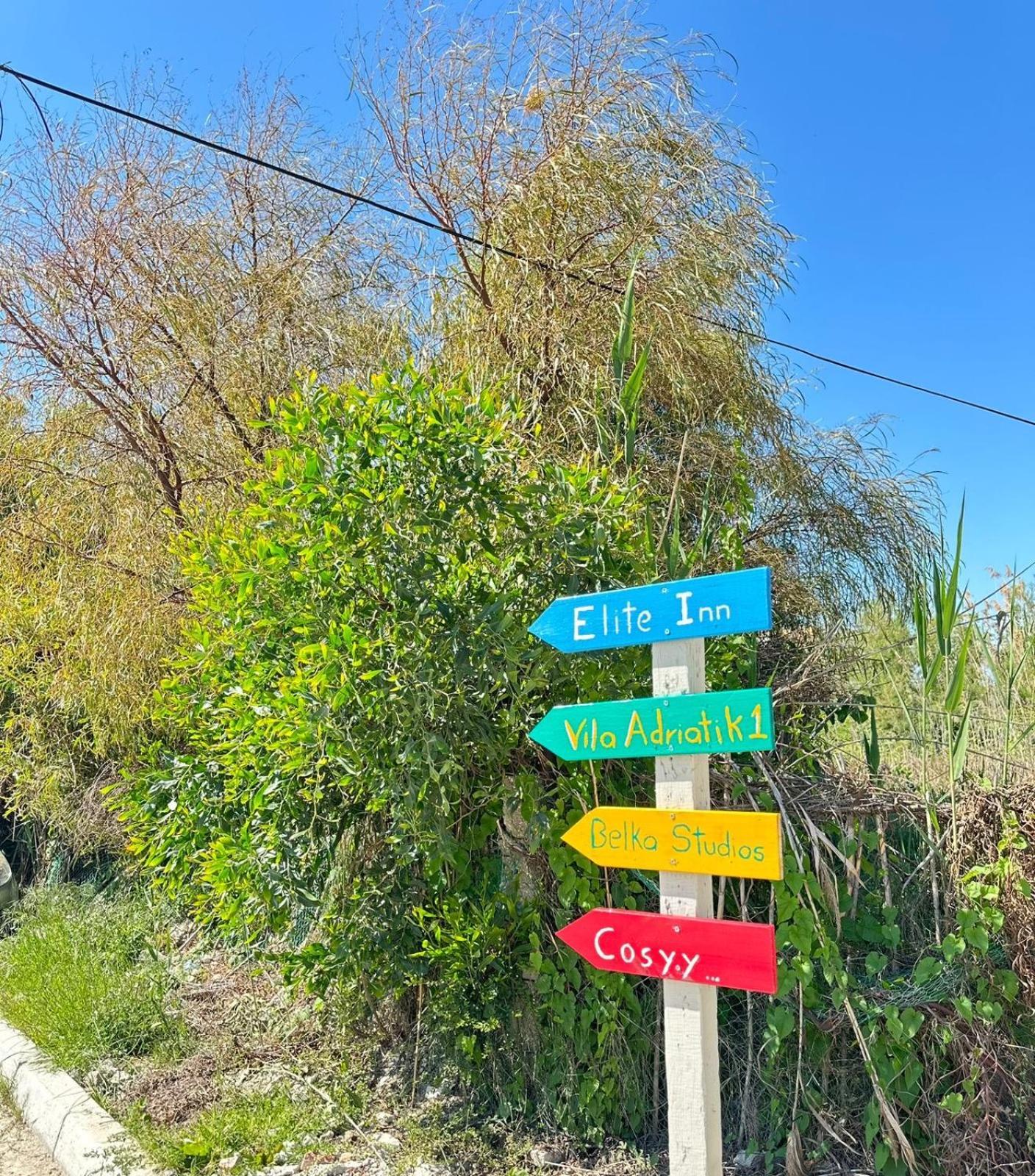 Vila Adriatik 1 Vlorë 外观 照片
